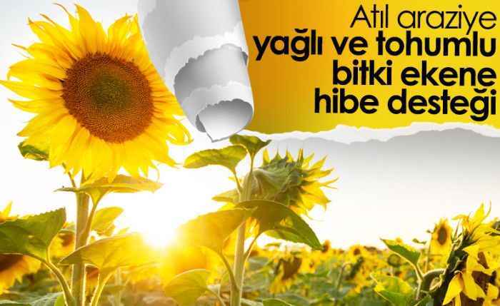 Ekilmeyen araziye hibe müjdesi