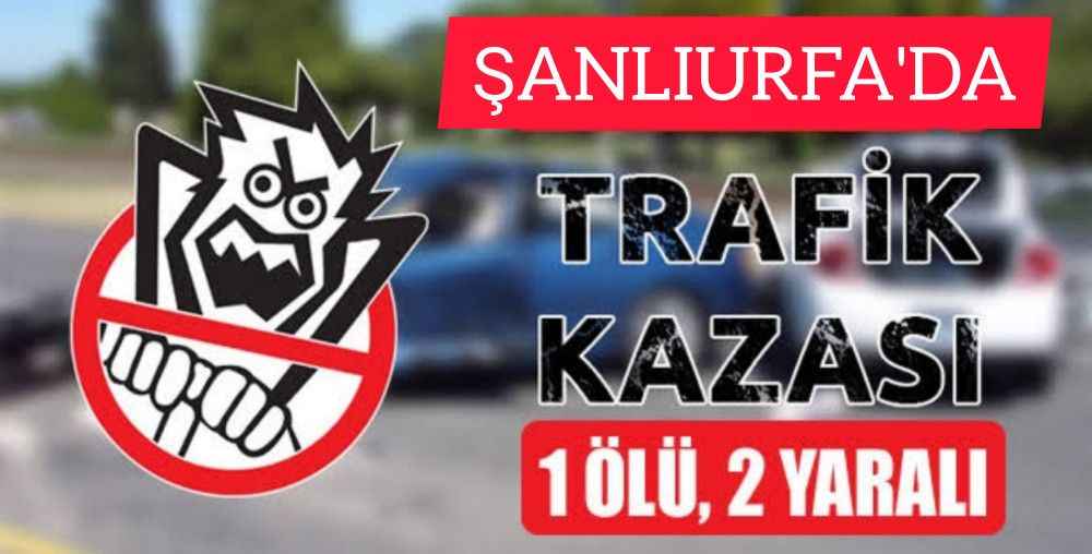 Şanlıurfa'da Araç şarampole devrildi: 1 ölü, 2 yaralı