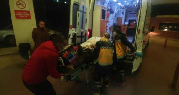 Şanlıurfa'da köpek kavgası! 2 ölü 7 yaralı