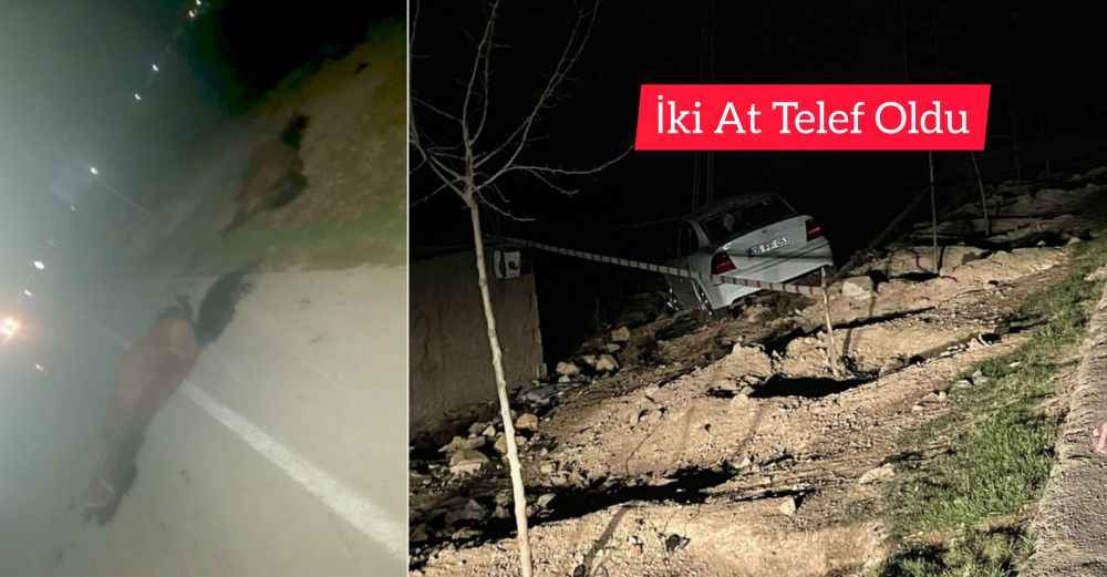 Şanlıurfa'da korkunç kaza! Atlar bir anda önüne çıkınca..