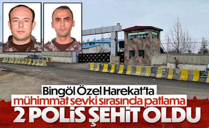 Mühimmat taşırken şehit oldular