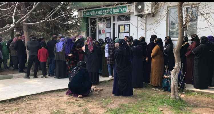 Şanlıurfa'da Bakliyat Kuyruğu