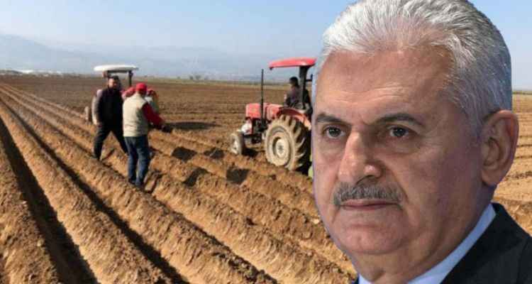 Binali Yıldırım'dan çiftçilere: Dağı taşı ekin