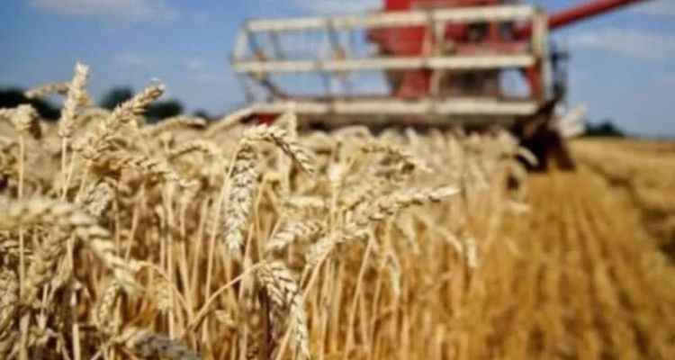 Tarımsal destek ödemeleri hesaplara yattı mı?