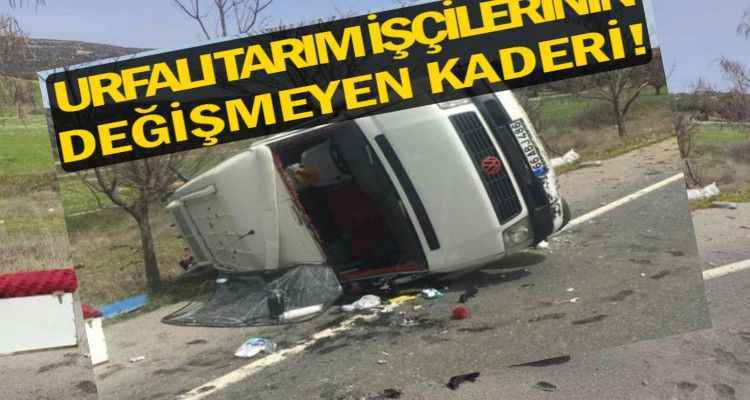 Urfalı Tarım İşçilerinin Değişmeyen Kaderi! 7 Yaralı
