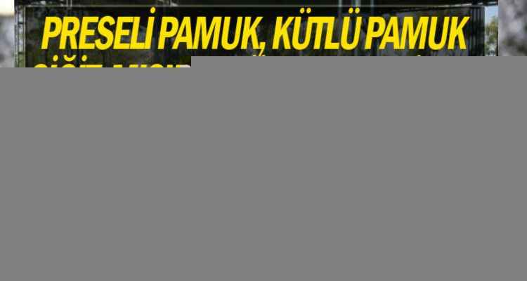 Urfa'da pamuk 50 lirayı aştı