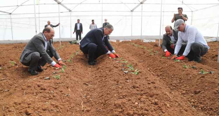 BAŞKAN KUŞ, SERA KENTİMİZDE FİDELERİ TOPRAKLA BULUŞTURDUK