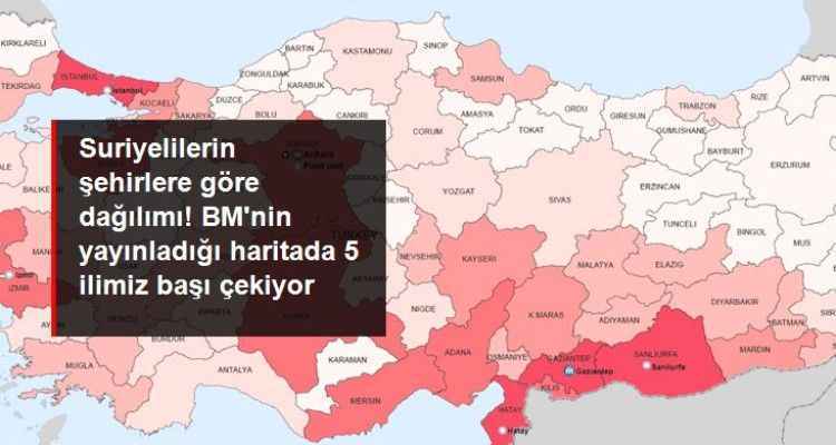 Türkiye'de Suriyelilerin şehirlere göre dağılımı! BM'nin yayınladığı haritada Şanlıurfa başı çekiyor