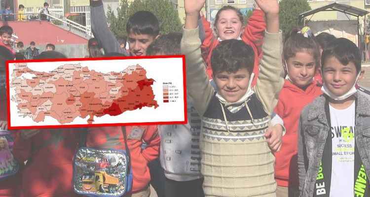 Veriler açıklandı! En yüksek Urfa’da