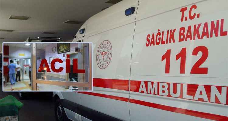 Şanlıurfa'da pikap devrildi: Yaralılar var