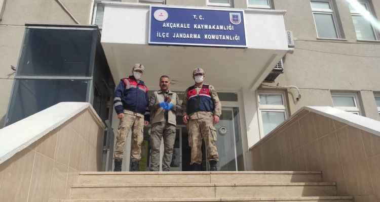 Şanlıurfa'da Jandarma ekipleri yaralı halde buldu