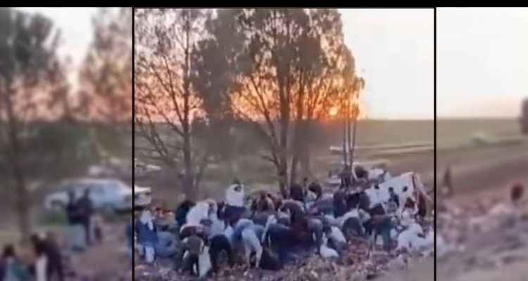 Şanlıurfa'da İnsanlık ölmüş dedirten cinsten! Sürücüyü unutup şekerleri yağmaladılar