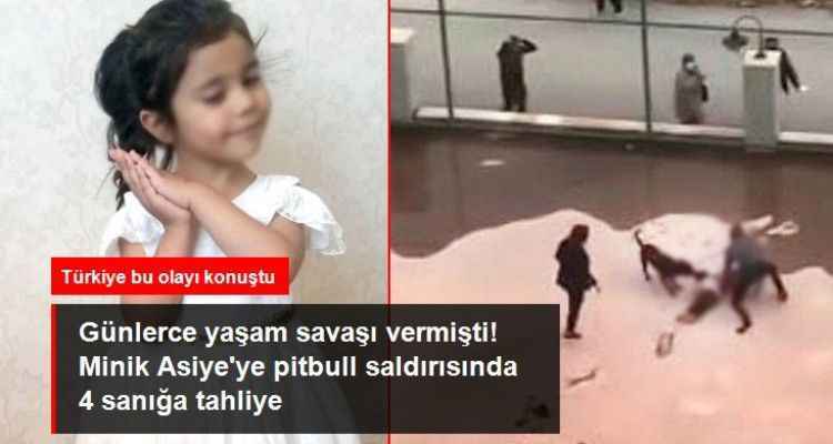 Minik Asiye'ye pitbull saldırısı davasında dikkat çeken karar! 4 sanık da artık serbest