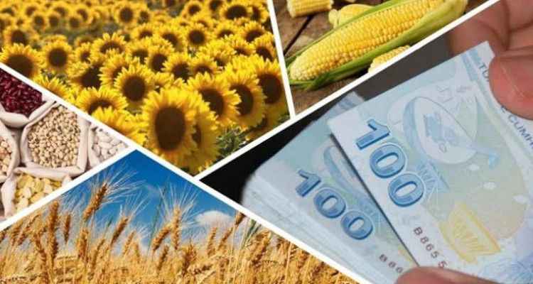 Tarımsal Destek Ödemeleri Bugün Hesaplara Yatıyor