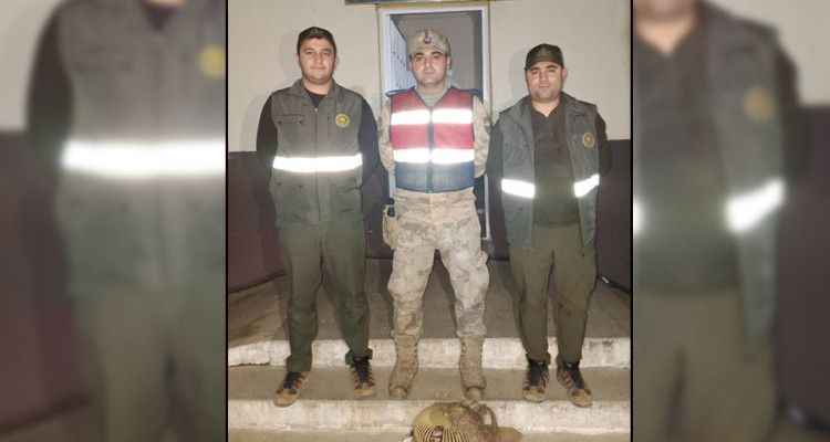 Şanlıurfa'da Jandarma el koydu