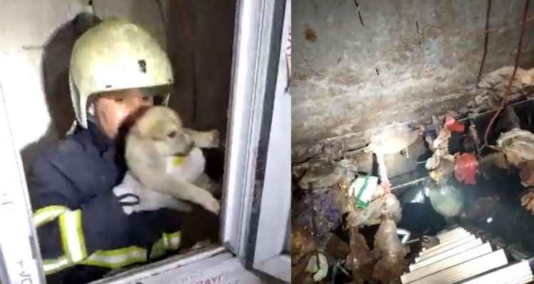 ‘Boncuk’ için seferber oldular