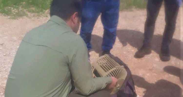 Urfa’da kaçak avlananlara idari işlem!