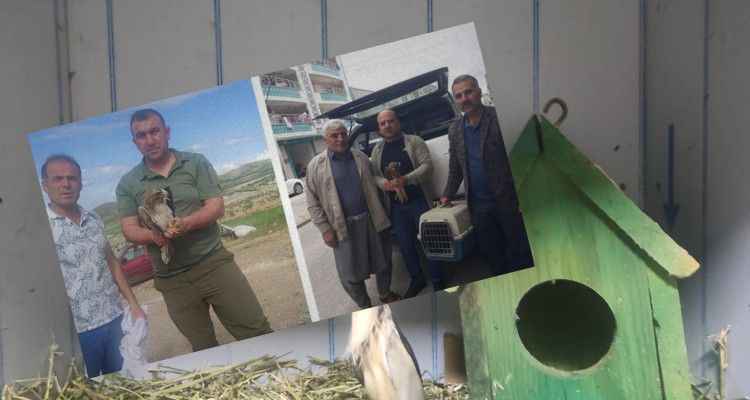Şanlıurfa'daki Vatandaşlardan Örnek Davranış