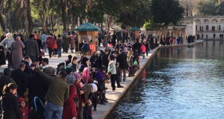 Şanlıurfa'da 3'ü kadın 6 kişi hayatını kaybetti!