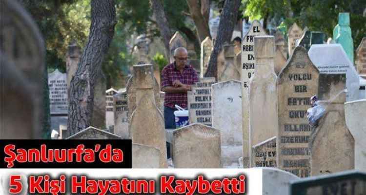 Şanlıurfa'da 5 Kişi Hayatını Kaybetti