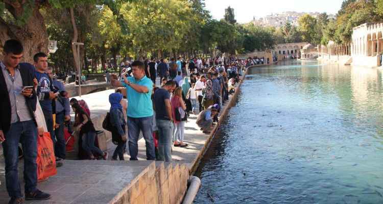 Urfa 2.Sırada! Ortalama hanehalkı büyüklüğü azalıyor mu?
