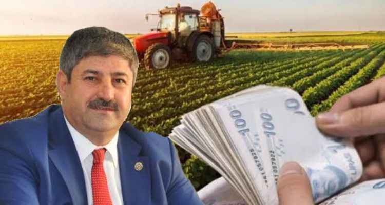 Urfalı çiftçilere müjde: Ödemeler yarın başlıyor