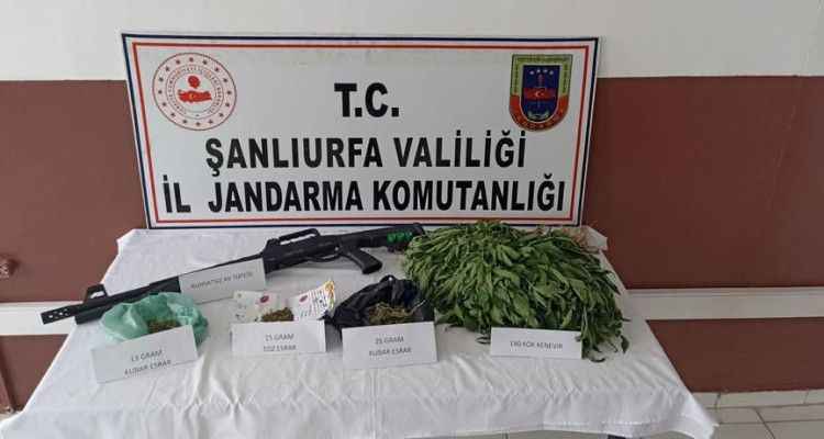 Urfa’da kenevir ekilen eve baskın