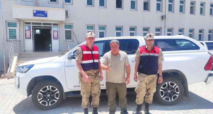 Yaralı halde yavru kerkenez kuşu bulundi