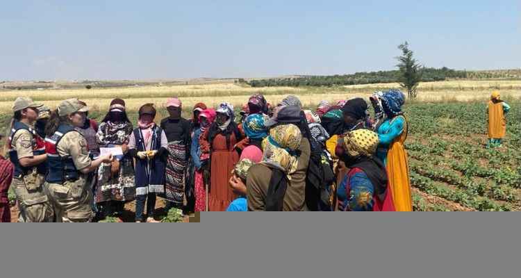 Üniformayla tarladaki kadınlara KADES uygulamasını anlattılar