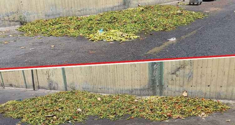 Şanlıurfa'da Yüksek fiyat isteyip satamayınca dökenler var