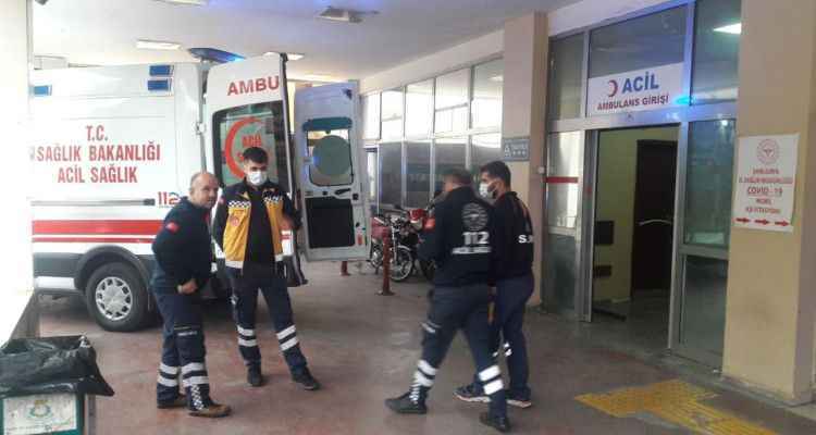Şanlıurfa'da 3. köpek saldırısı!
