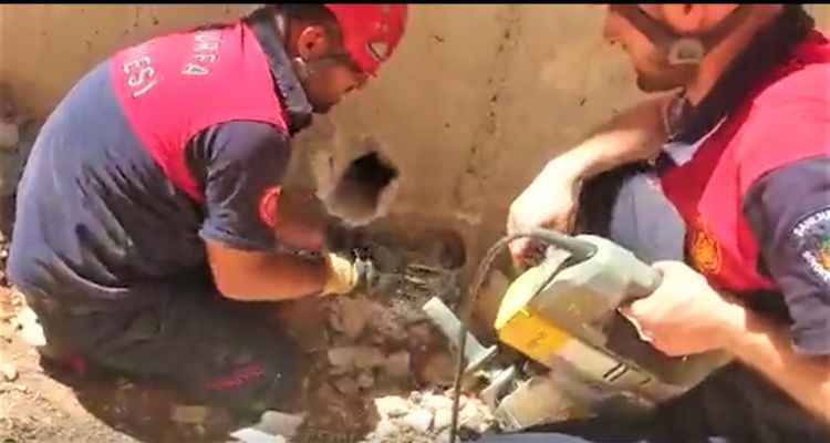 Eyyübiye’de köpek kurtarma operasyonu!
