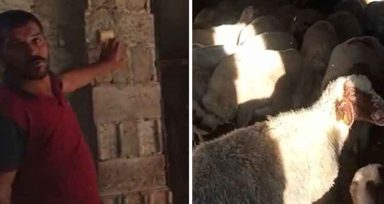 Şanlıurfa'da Hayvanları susuz kalan çiftçi isyan etti!