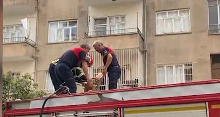 Şanlıurfa’da 3 itfaiye eri bir vanayı açamadı!