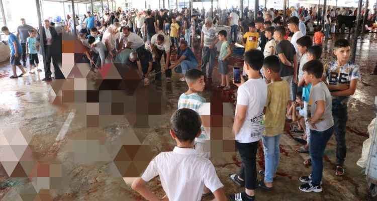 Urfa'da Değişmeyen Manzara! Çocukların gözü önünde kurban kestiler