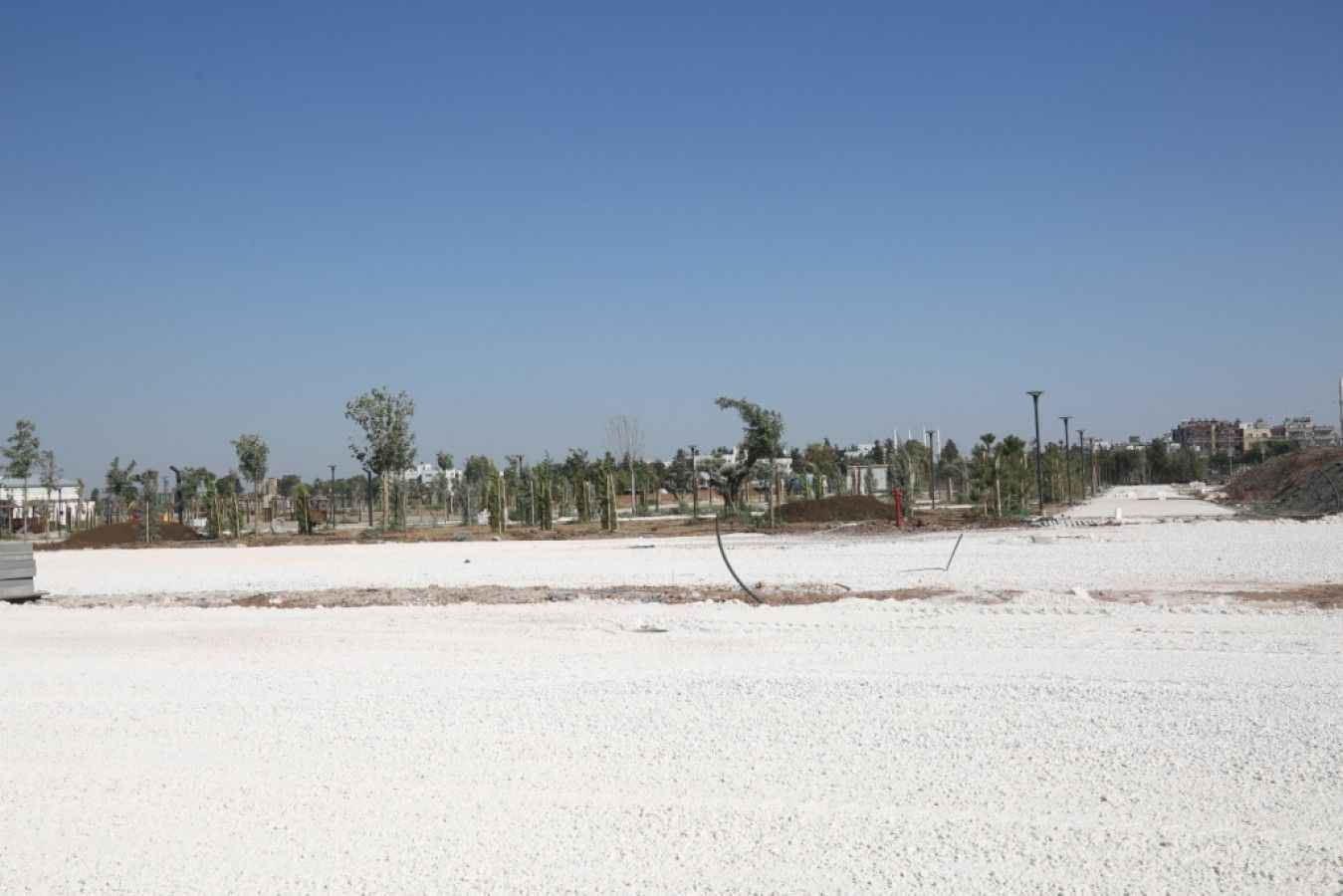 Eyyübiye Millet Bahçesi Ağaçlandırması Tamamlandı
