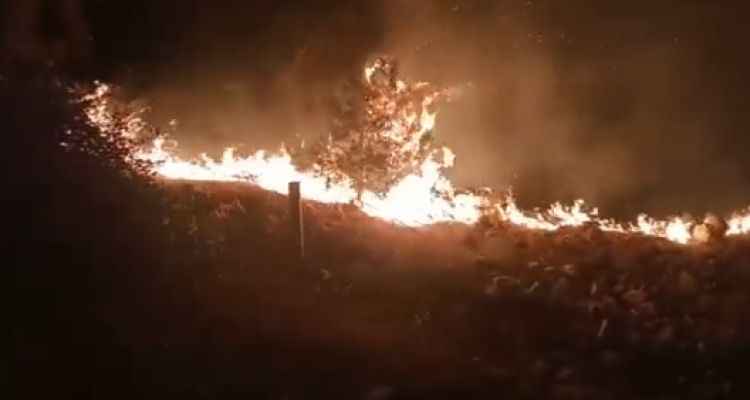 Şanlıurfa’da sigara izmariti ormanı yaktı!