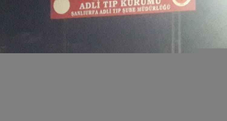 Şanlıurfa'da Traktör Altında Can Verdi! 1 Ölü