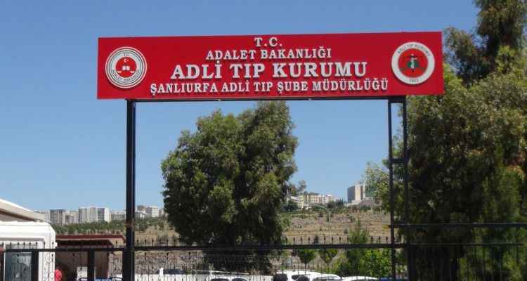 Urfa Sınırında Korkunç Olay! Parçalanmış Halde Bir Ceset Bulundu