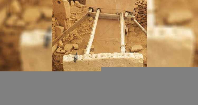 Göbeklitepe'de yeni tehdit: Kuş pisliği!