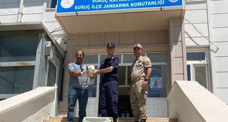 Şanlıurfa'da Jandarma buldu, ekipler tedavi altına aldı