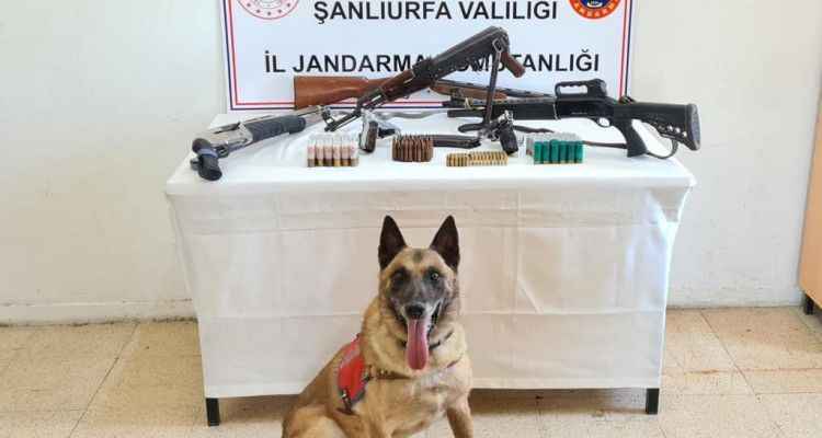 Jandarmadan silah kaçakçılarına operasyon!