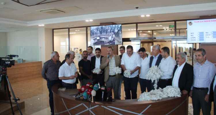 Şanlıurfa’da yılın ilk pamuğu görücüye çıktı