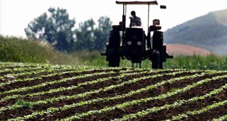 Çiftçilere tarımsal destek ödemesi bugün
