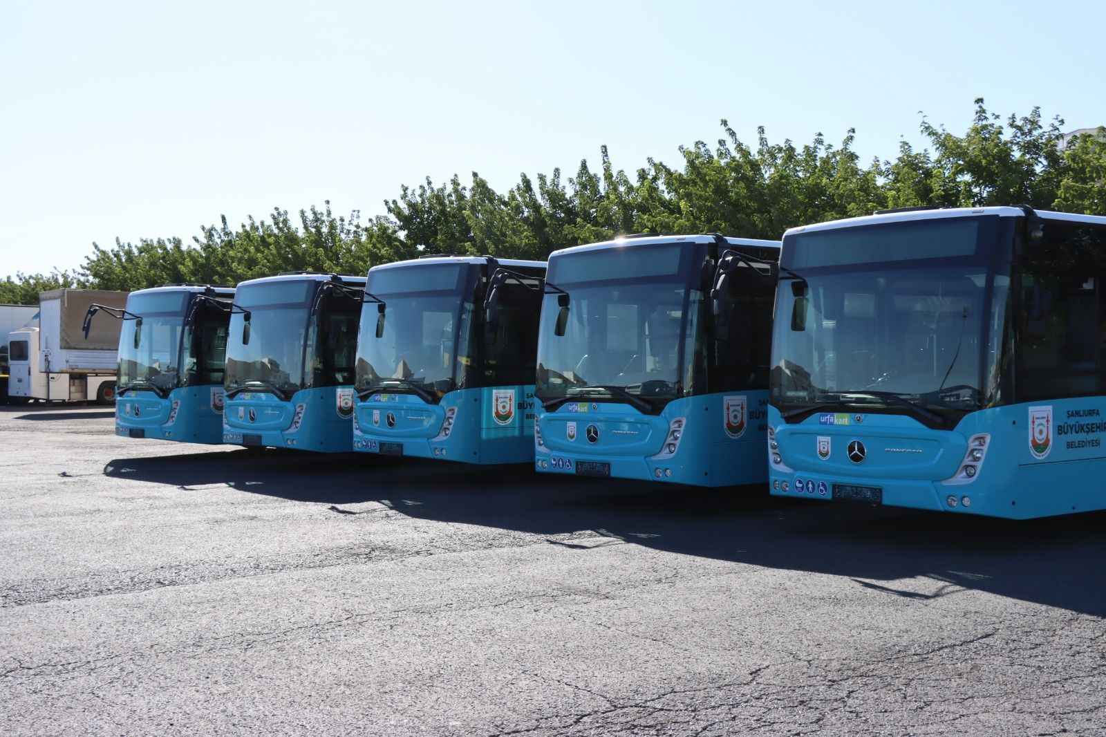 Teslim edilmeye başlandı... Urfa'ya 174 yeni halk otobüsü