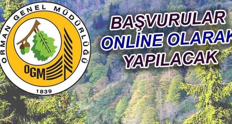 Orman Bölge Müdürlüğü'nün personel alım başvuruları yarın başlıyor