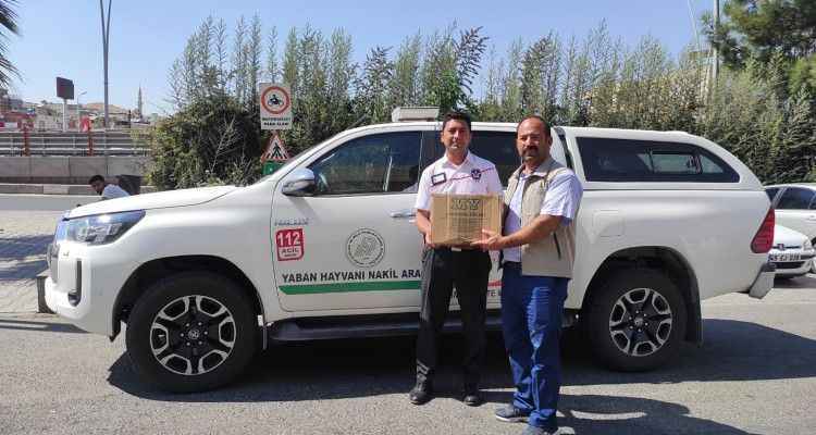 Urfa'da Yaralı Bulunan Balaban ve Karga Tedavi Altına Alındı