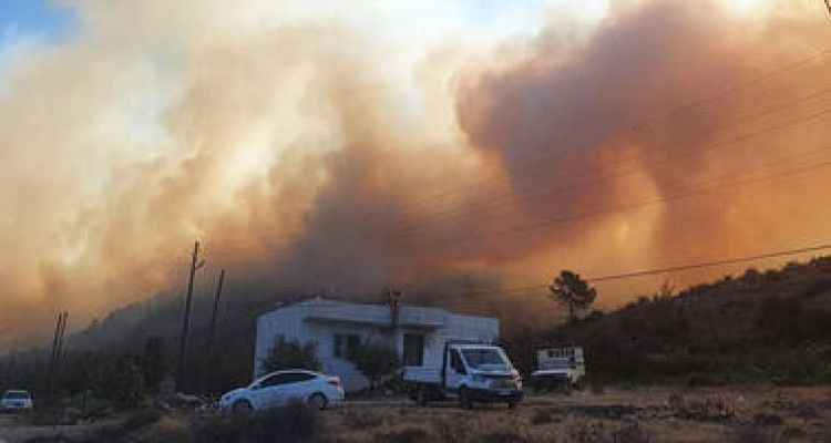 Orman Yangını; 110 Ev Tahliye Edildi