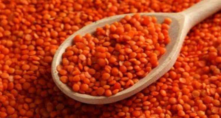 Şanlıurfa'da Kırmızı Mercimeğin Kilogramı