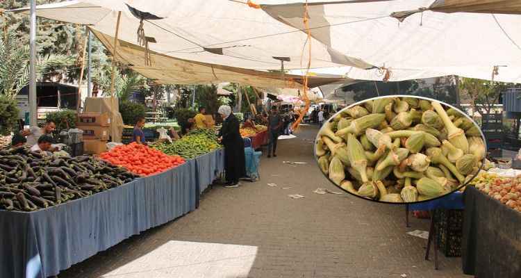 Şanlıurfa'da Pazarın en pahalısı bamya